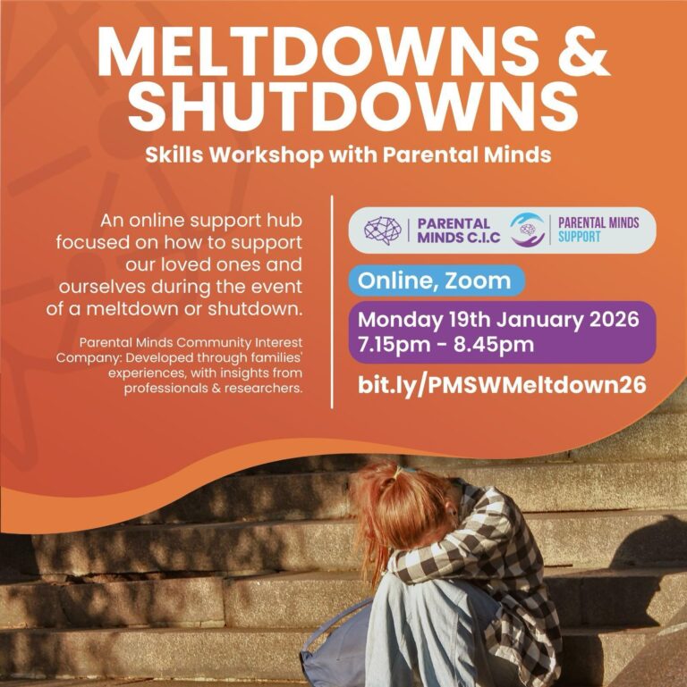 Meltdowns and Shutdowns workshop.